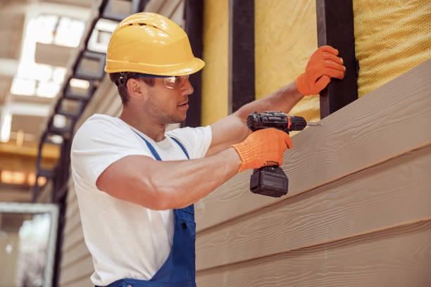 Best Custom Siding Design  in Kosciusko, MS